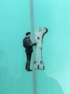 Front Page -POSEIDON Shop 9 6 noserider bone lam