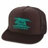 Poseidon CA Surf Trip Bear Hat -POSEIDON Shop Bear Brown Turquise
